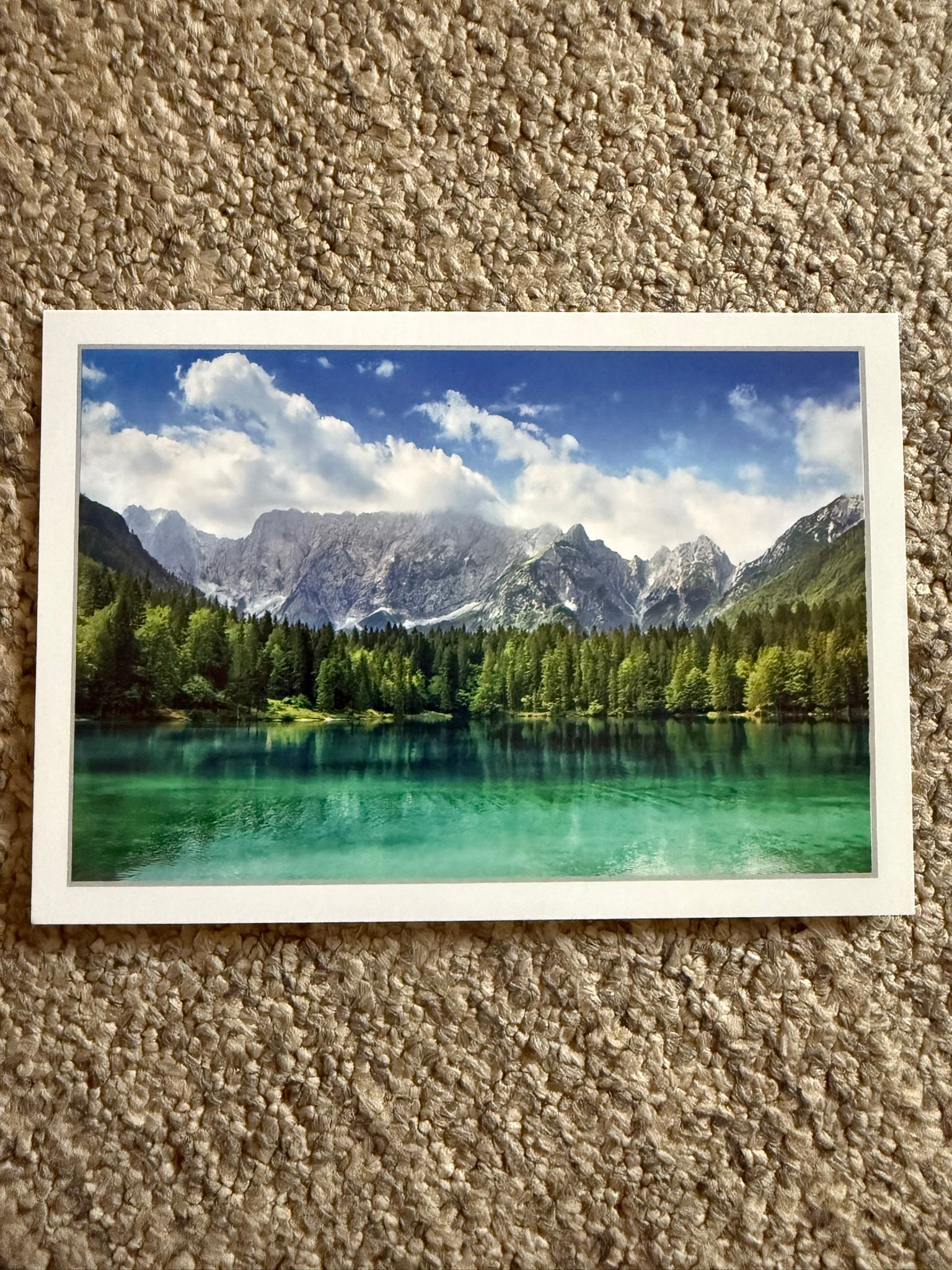 Felicitare elegantă pentru orice ocazie