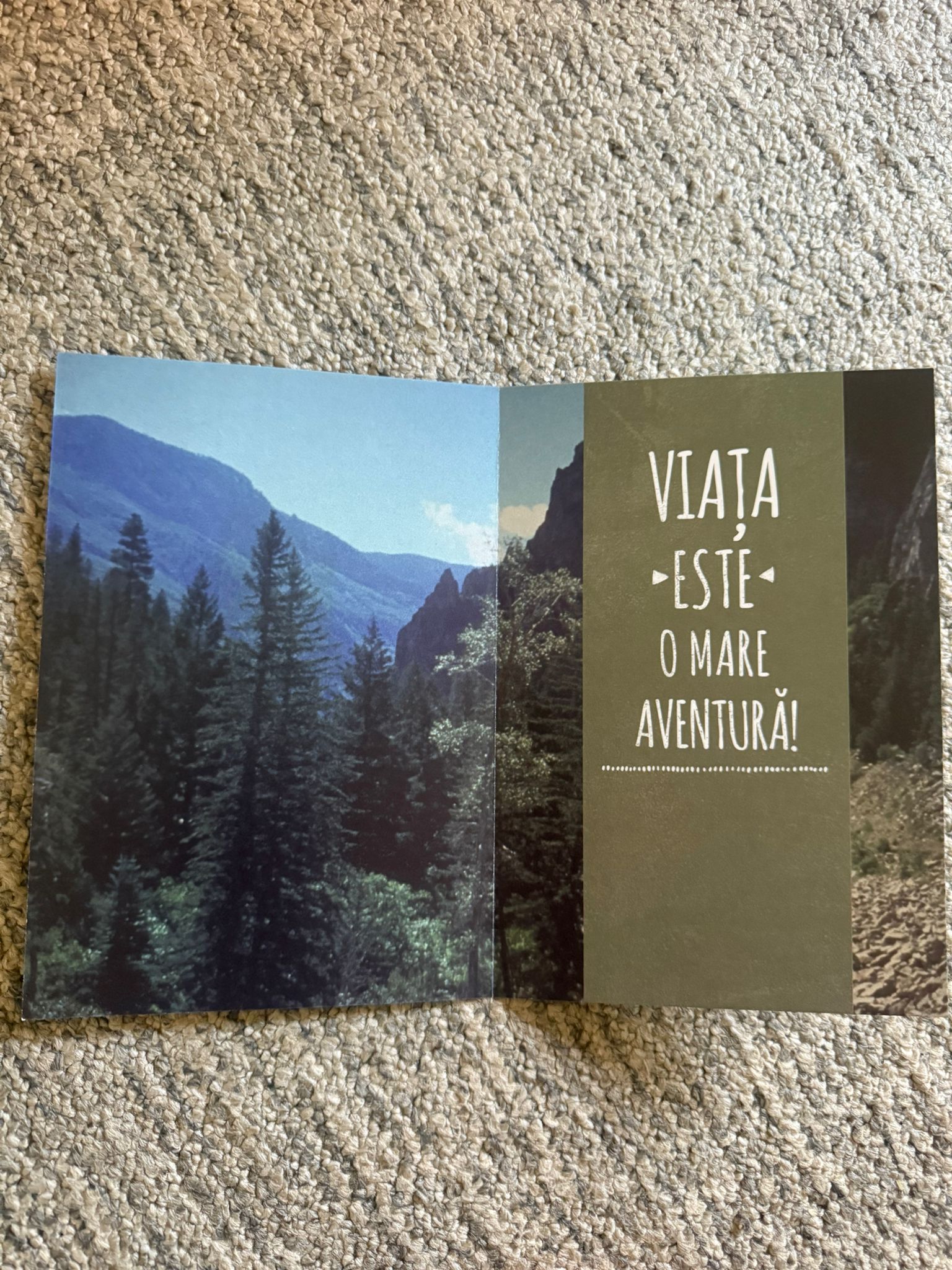 Felicitare elegantă pentru orice ocazie - imagine 3