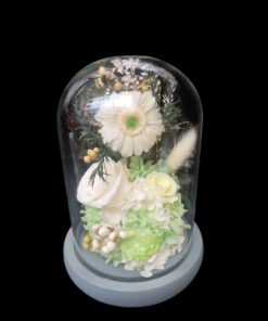 Cupolă de sticlă cu trandafiri eterni, albă