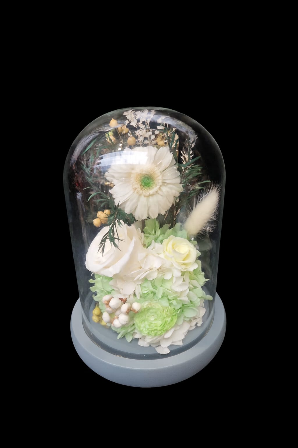 Cupolă de sticlă cu trandafiri eterni, albă